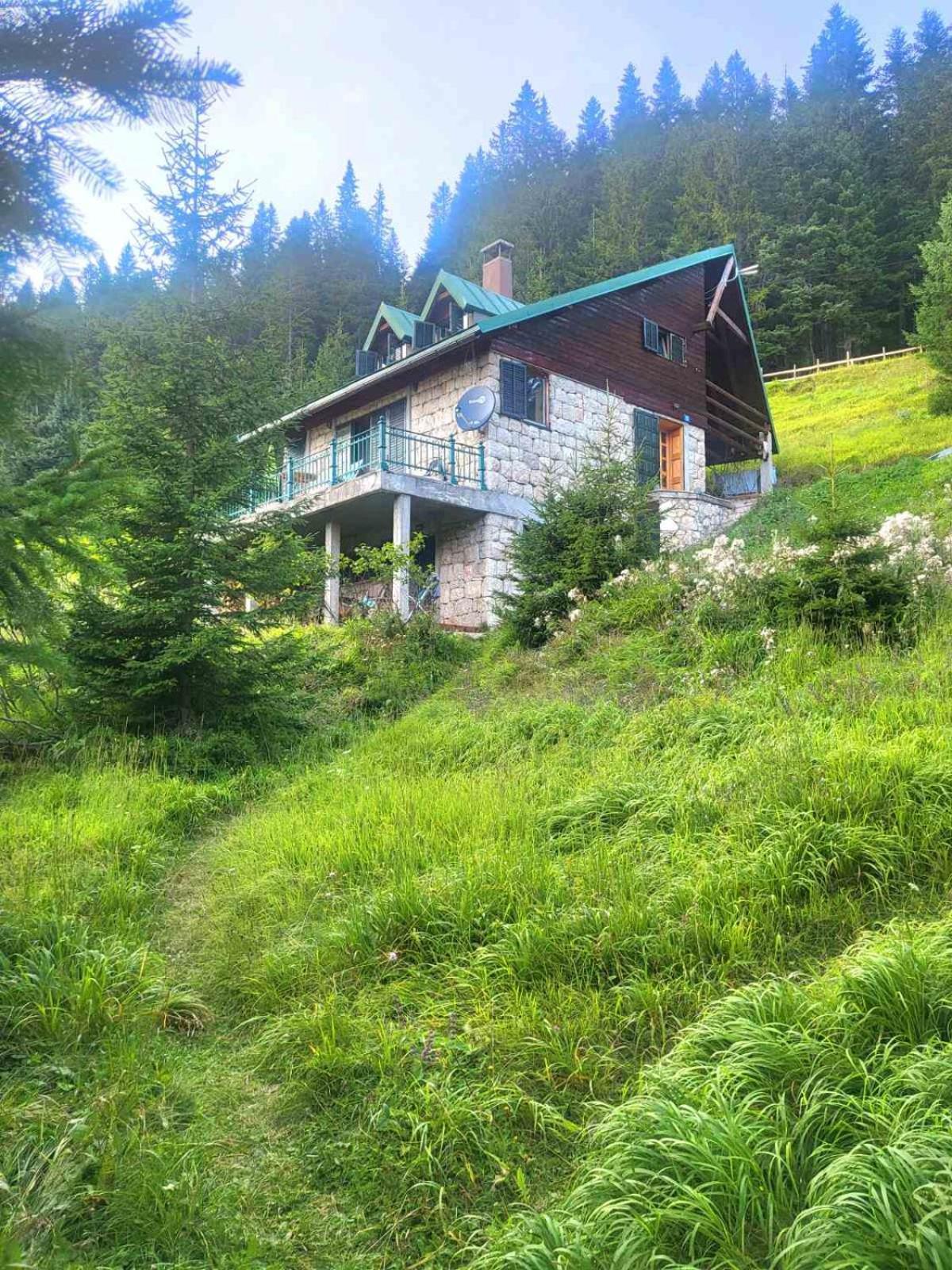 Magic Mountain Villa Zabljak  Exterior photo